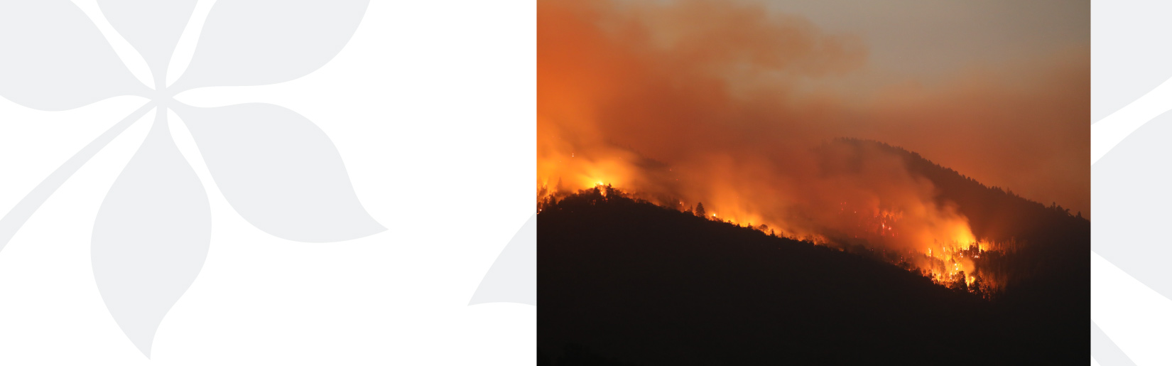 A wildfire burns on a hillside