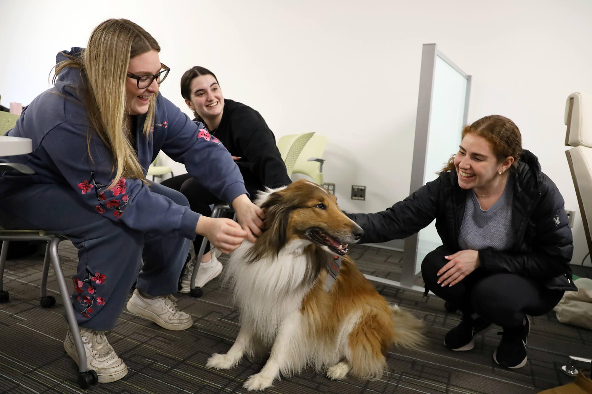 Smiling students crouch to pet a therapy dog.