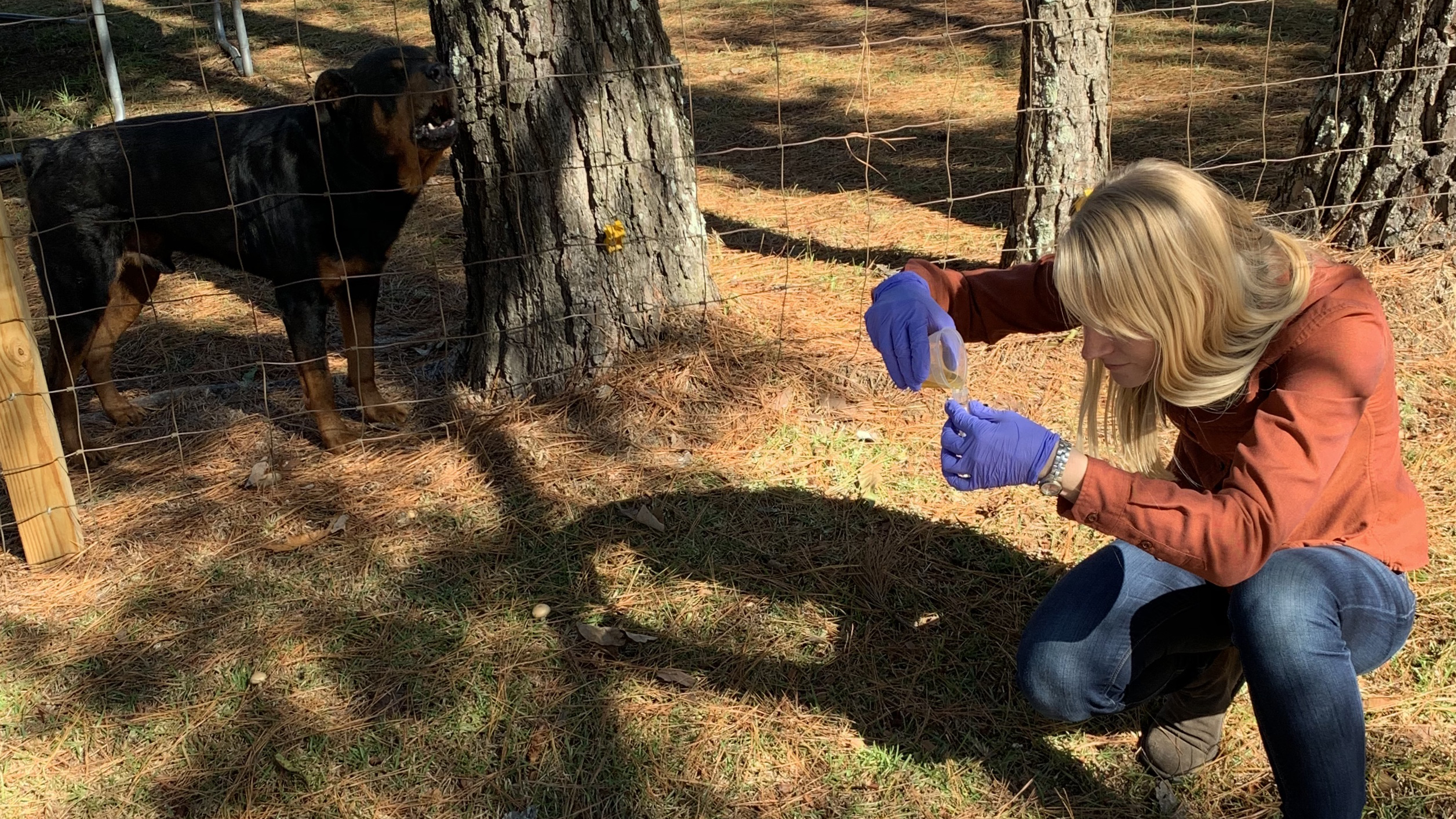 Arbor Quist processes a sample outside. 