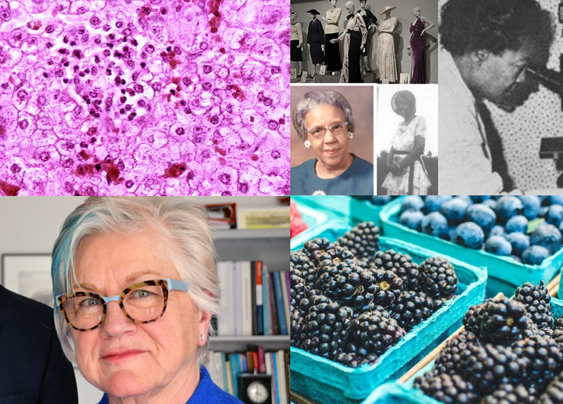 photos of Ruth Ella Moore, Mary Ellen Wewers, Reye's syndrome and black raspberries