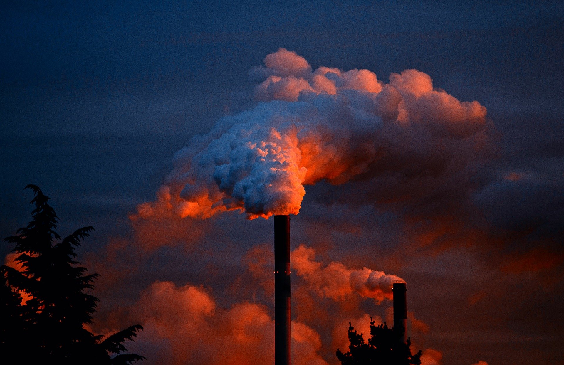environment