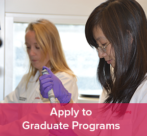 apply to graduate programs