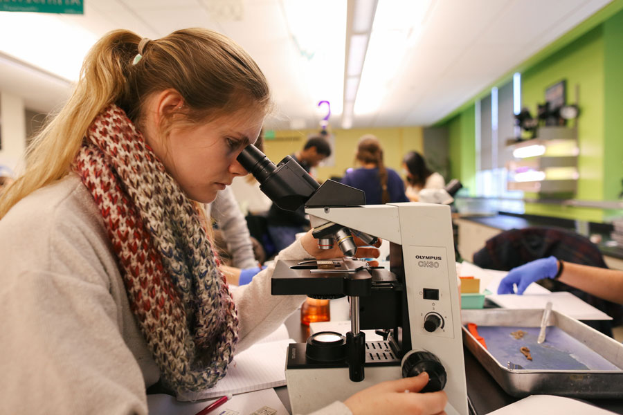 scientist at microscope in lab