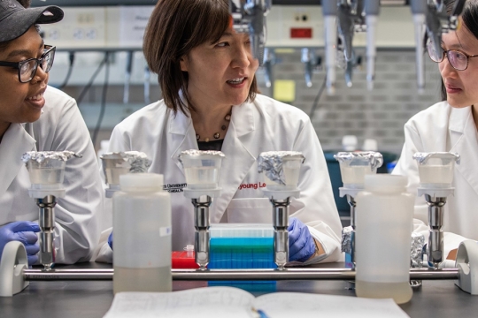 faculty and students in research lab