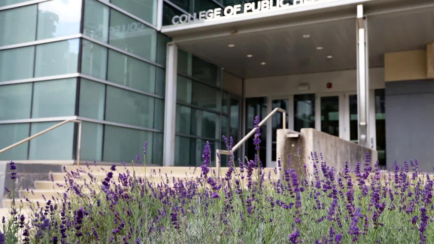 Cunz Hall with lavendar plants in bloom