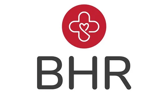 Logo for Buckeyes for Harm Reduction