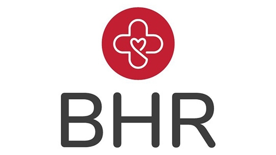 Logo for Buckeyes for Harm Reduction