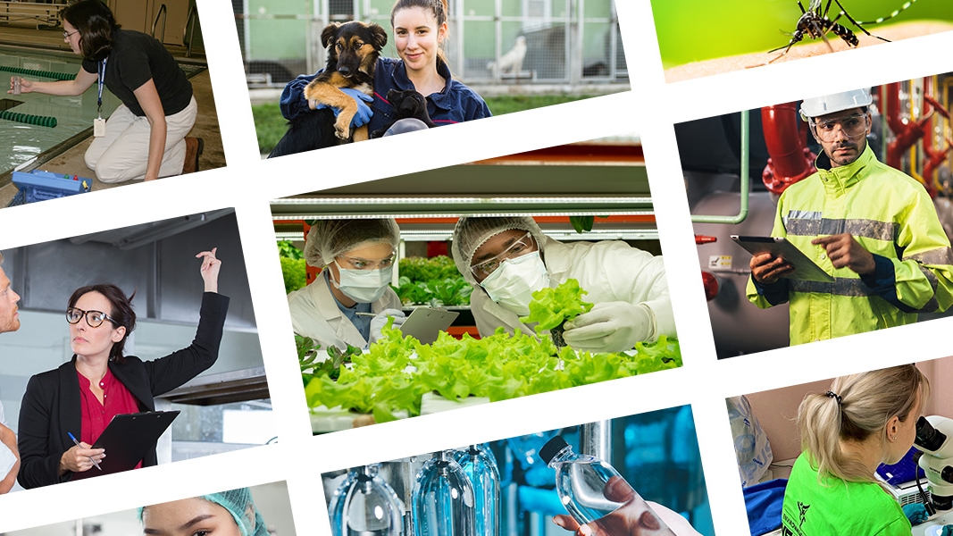 Collage of people in careers related to environmental public health