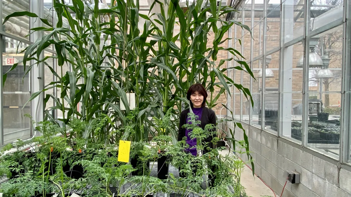 Jiyoung Lee in greenhouse