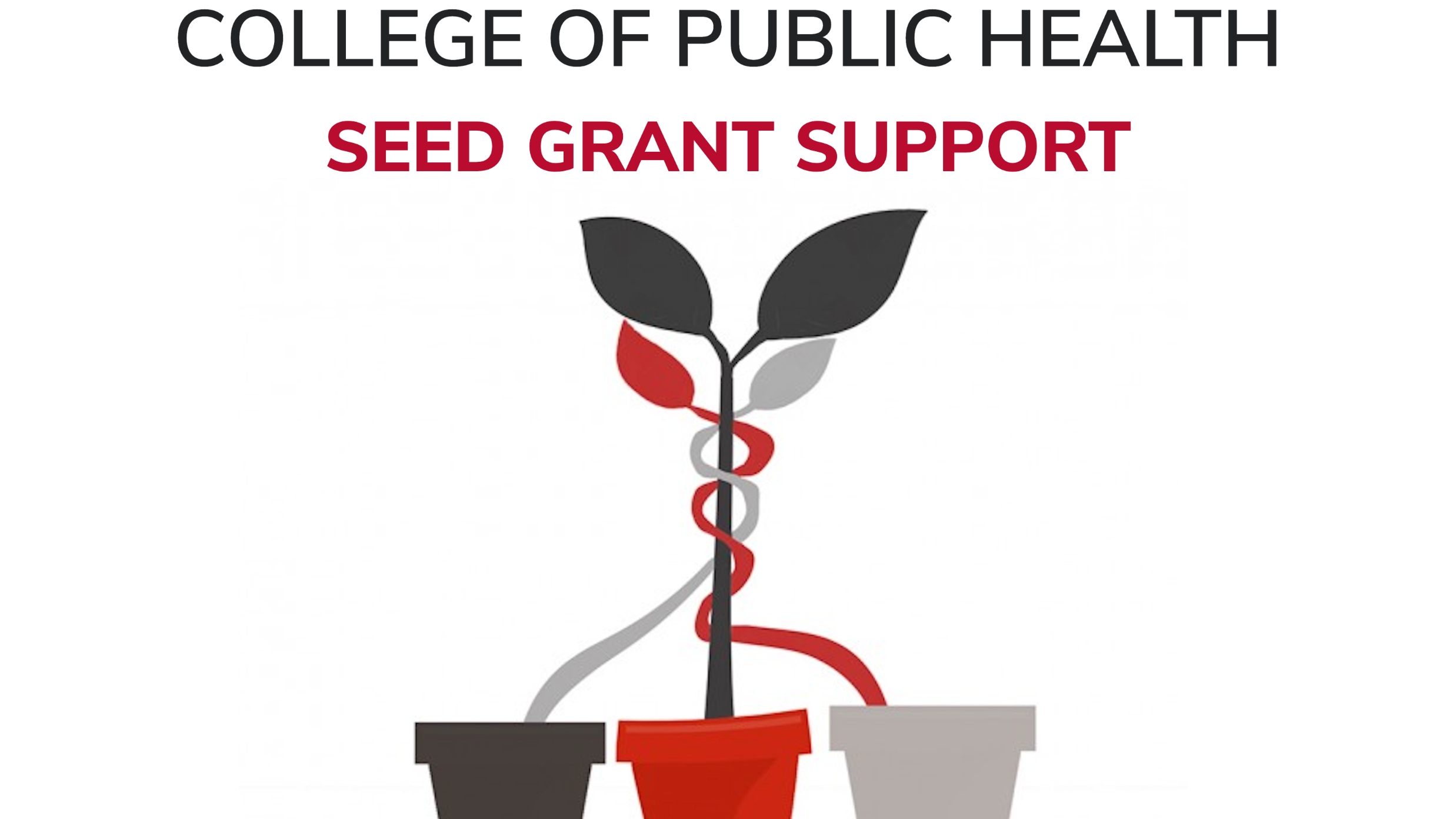 graphic with three sprouting flower pots that says College of Public Health Seed Grant Support