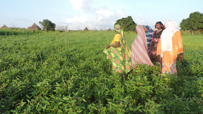 Women from Paulos' care group