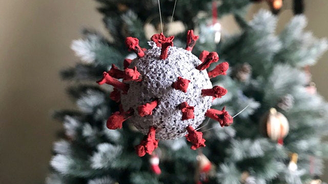Liz Klein's COVID-19 ornament