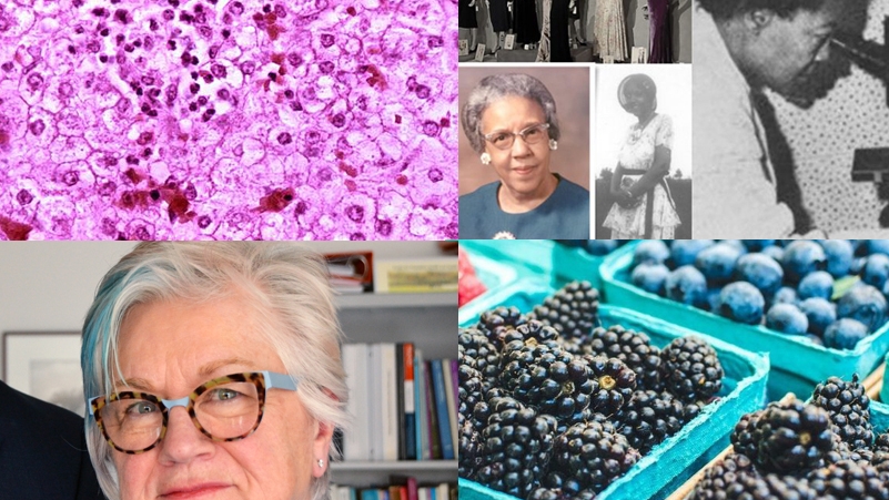 photos of Ruth Ella Moore, Mary Ellen Wewers, Reye's syndrome and black raspberries