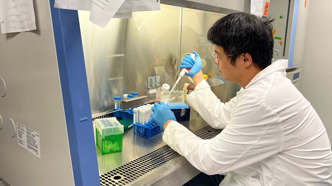 Student working in a lab testing specimans