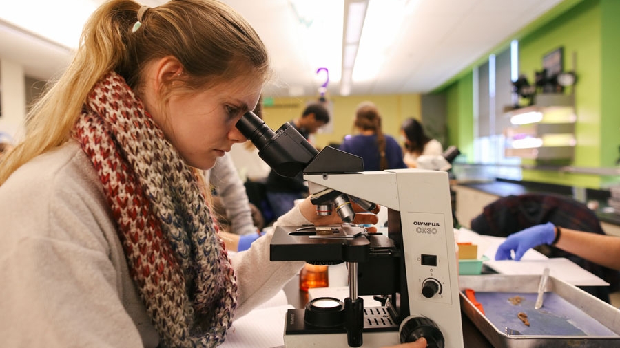 A woman looks at a sample through a microscope