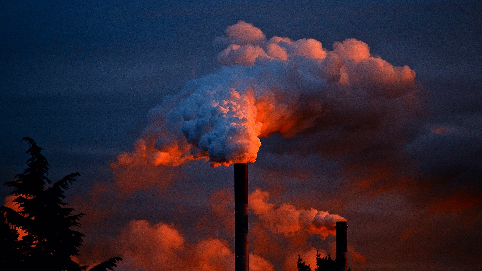environment