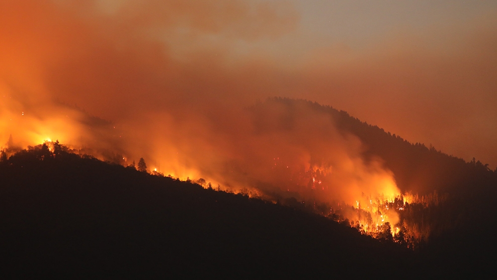 A wildfire on tree-covered hills