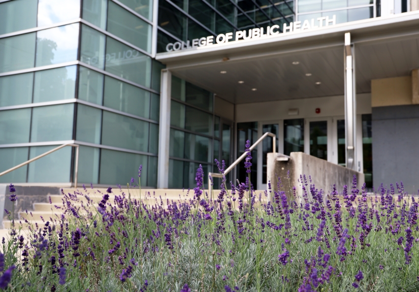 Cunz Hall with lavendar plants in bloom