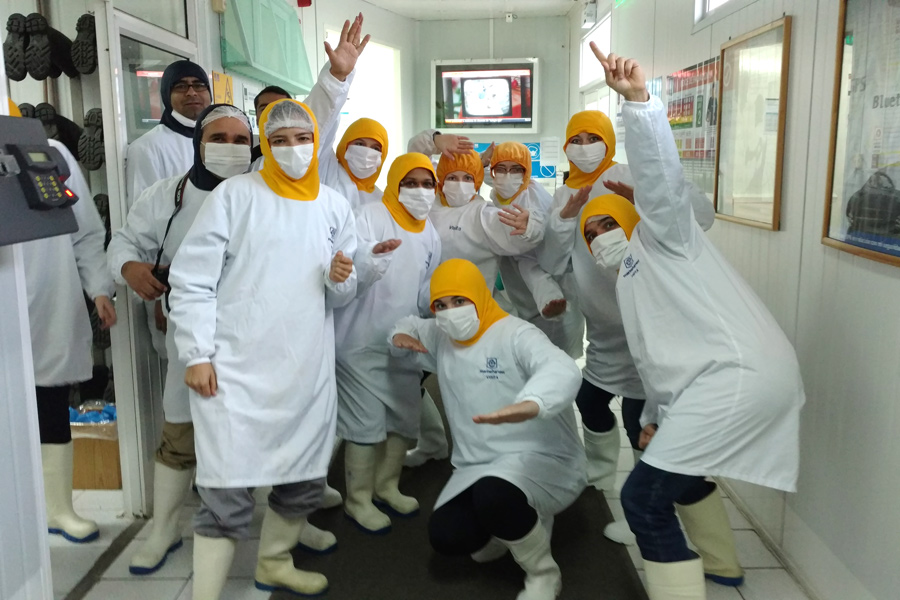 Group of veterinary public health students wearing protective equipment in laboratory